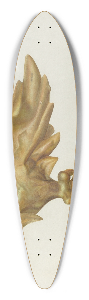 Chris Makrenos - Eagle Weather Vane 39.3 inch art pintail longboard deck