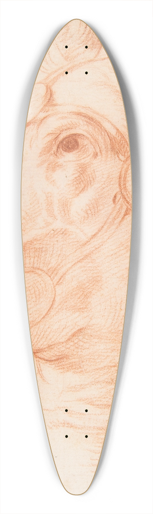 Circle of Baldassarre Franceschini - Study for a Horses Head 39.3 inch art pintail longboard deck