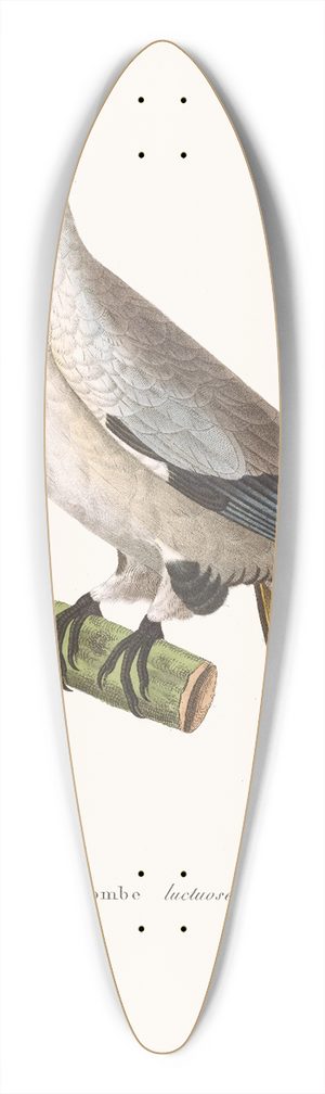Coenraad Jacob Temminck - Colombe Luctuose. 39.3 inch art pintail longboard deck