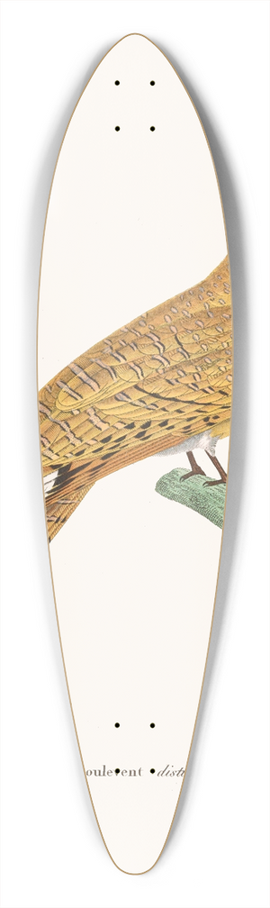 Coenraad Jacob Temminck - Engoulevent Distingue 39.3 inch art pintail longboard deck