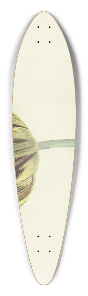 Cornelis van Noorde - Tulp genaamd Bizard Rosette 39.3 inch art pintail longboard deck
