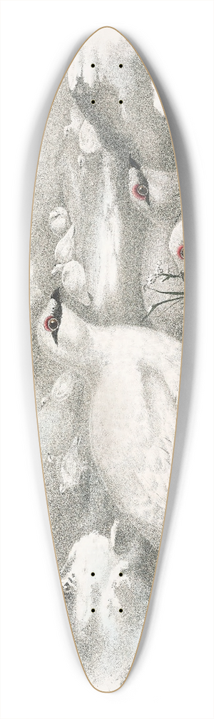 Daniel Giraud Elliot - Common Ptarmigan  Winter 39.3 inch art pintail longboard deck