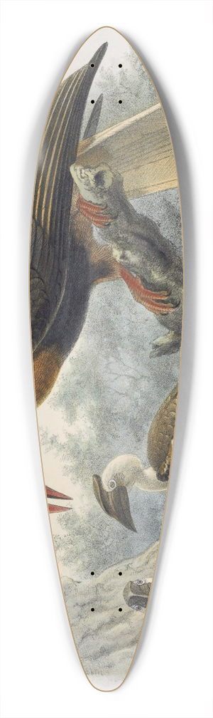 Daniel Giraud Elliot - Hydrocorax planicornis 39.3 inch art pintail longboard deck