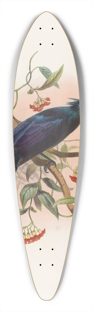 Daniel Giraud Elliot - Manucodia Keraudreni 39.3 inch art pintail longboard deck