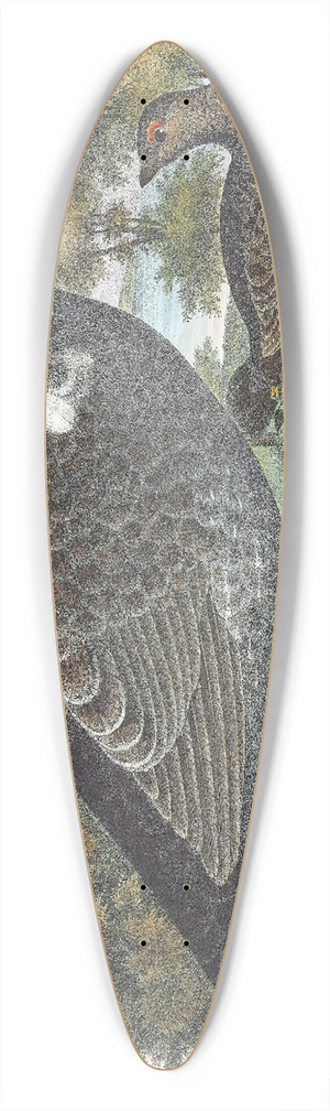 Daniel Giraud Elliot - Richardsons Grouse 39.3 inch art pintail longboard deck