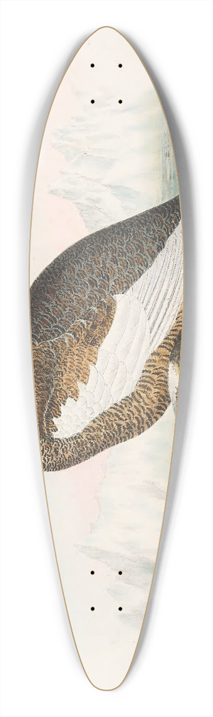 Daniel Giraud Elliot - Spitzbergen Ptarmigan 39.3 inch art pintail longboard deck