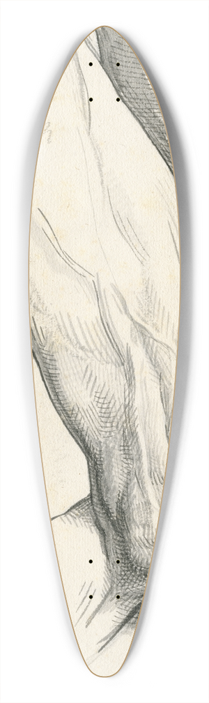 David Humbert de Superville - Bovenbeen 39.3 inch art pintail longboard deck