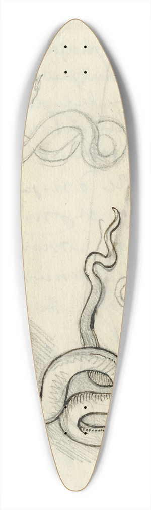 David Humbert de Superville - Kronkelende slang in div. houdingen 39.3 inch art pintail longboard deck