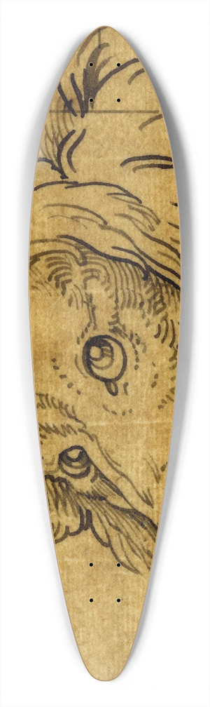 David Humbert de Superville - Leeuwenkop 39.3 inch art pintail longboard deck