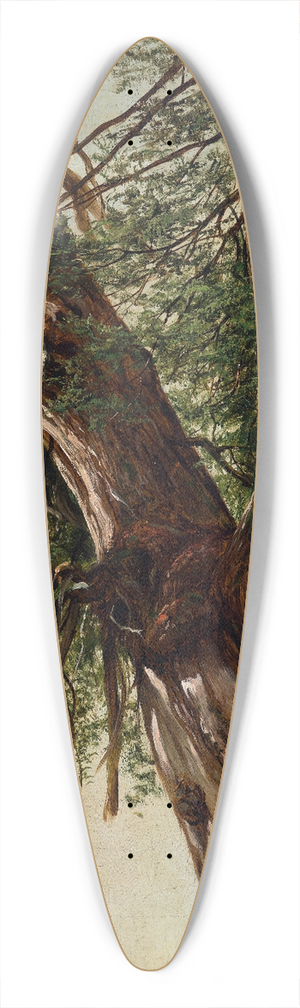 David Johnson - Study of a Cedar 39.3 inch art pintail longboard deck