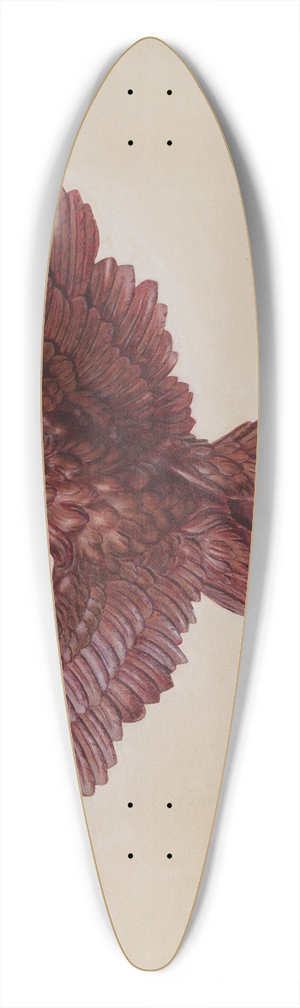David Ramage - Eagle 39.3 inch art pintail longboard deck