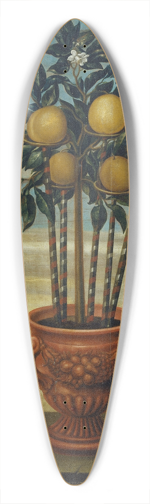 David von Cln - Orange tree in an urn 39.3 inch art pintail longboard deck