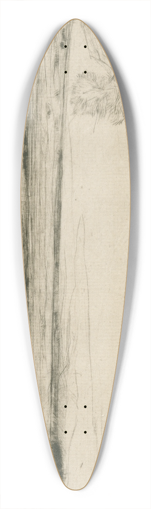 David Young Cameron - Strathearn 39.3 inch art pintail longboard deck