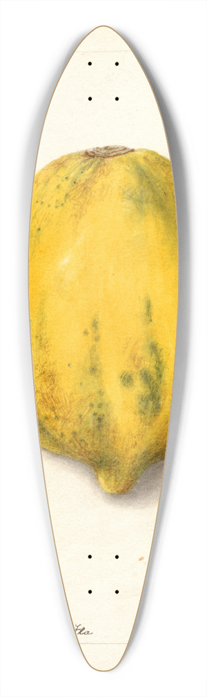 Deborah Griscom Passmore - Carica papaya 39.3 inch art pintail longboard deck