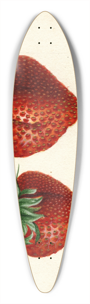 Deborah Griscom Passmore - Fragaria: Brandywine 39.3 inch art pintail longboard deck