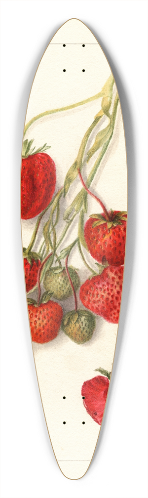 Deborah Griscom Passmore - Fragaria: Climan 39.3 inch art pintail longboard deck