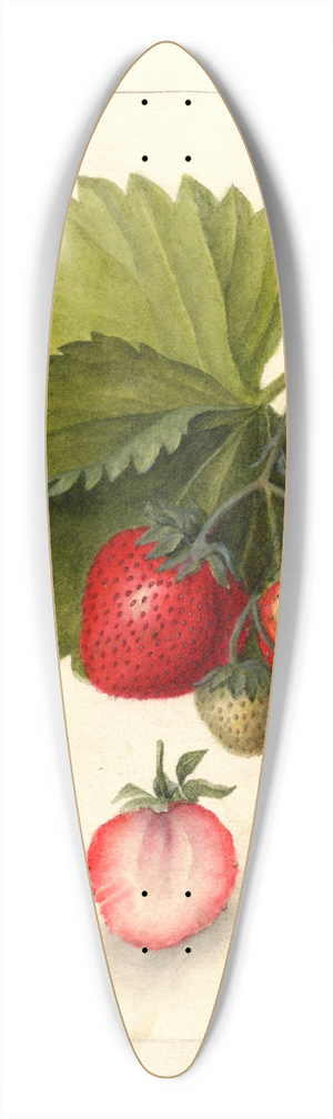 Deborah Griscom Passmore - Fragaria: Dayton 39.3 inch art pintail longboard deck