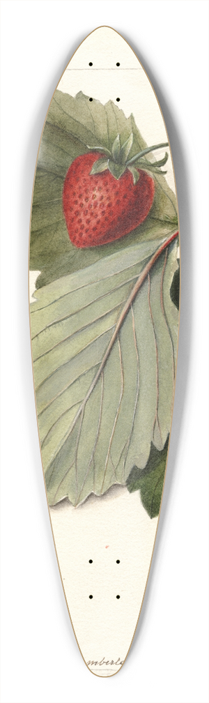 Deborah Griscom Passmore - Fragaria: Maynor 39.3 inch art pintail longboard deck
