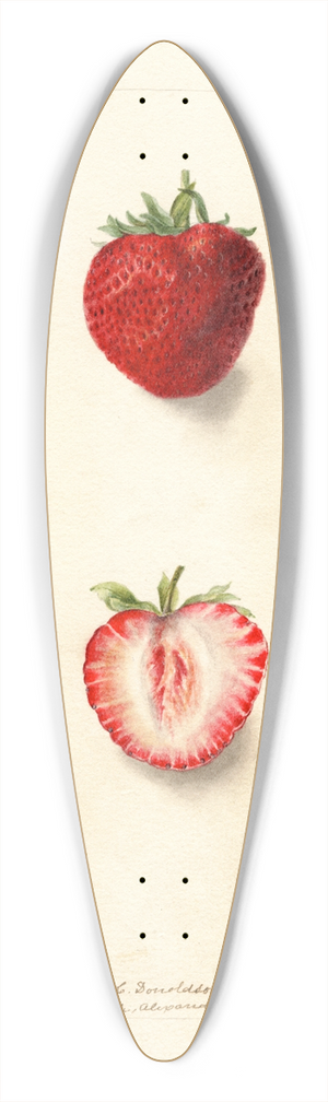 Deborah Griscom Passmore - Fragaria: Nick Ohmer 39.3 inch art pintail longboard deck