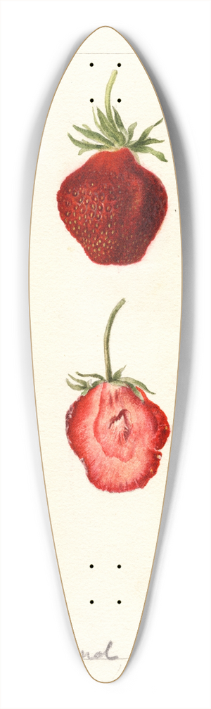 Deborah Griscom Passmore - Fragaria: Seaford 39.3 inch art pintail longboard deck