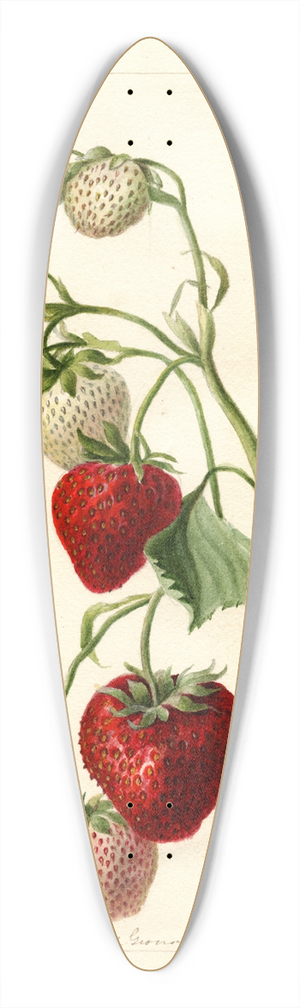 Deborah Griscom Passmore - Fragaria: Timbrell 39.3 inch art pintail longboard deck