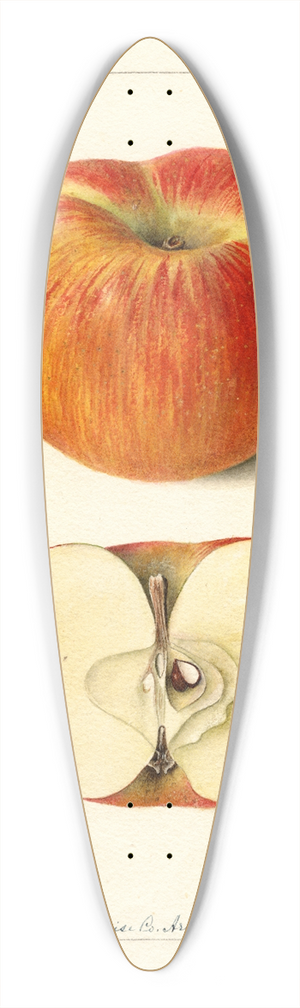 Deborah Griscom Passmore - Malus domestica: Ralls 39.3 inch art pintail longboard deck