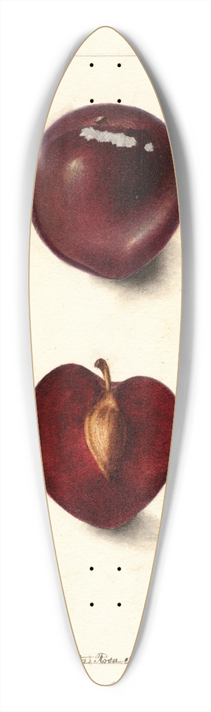 Deborah Griscom Passmore - Prunus domestica: Fraud 39.3 inch art pintail longboard deck