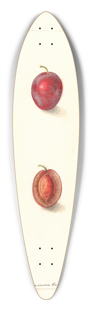 Deborah Griscom Passmore - Prunus domestica: Heaton 39.3 inch art pintail longboard deck