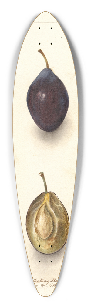 Deborah Griscom Passmore - Prunus domestica: Splendor 39.3 inch art pintail longboard deck