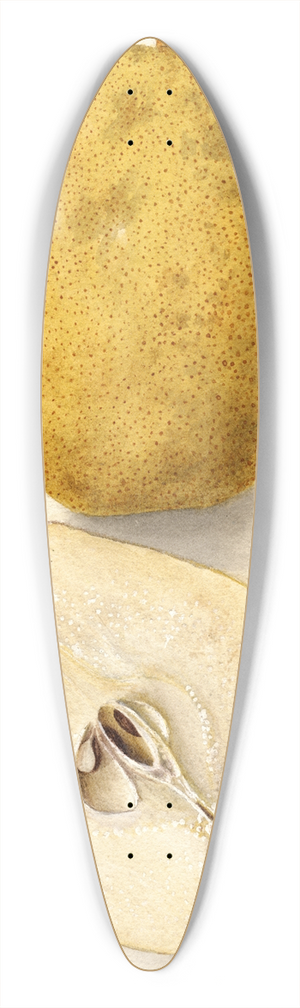 Deborah Griscom Passmore - Pyrus communis: Kieffer 39.3 inch art pintail longboard deck