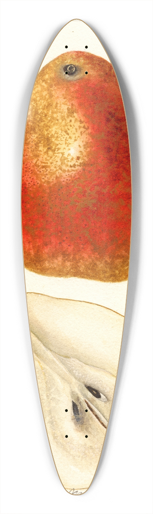 Deborah Griscom Passmore - Pyrus communis: Ogerean 39.3 inch art pintail longboard deck