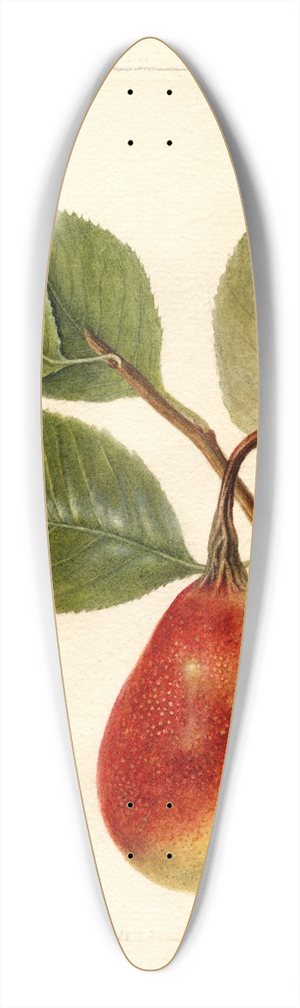 Deborah Griscom Passmore - Pyrus communis: Summer Beauty 39.3 inch art pintail longboard deck