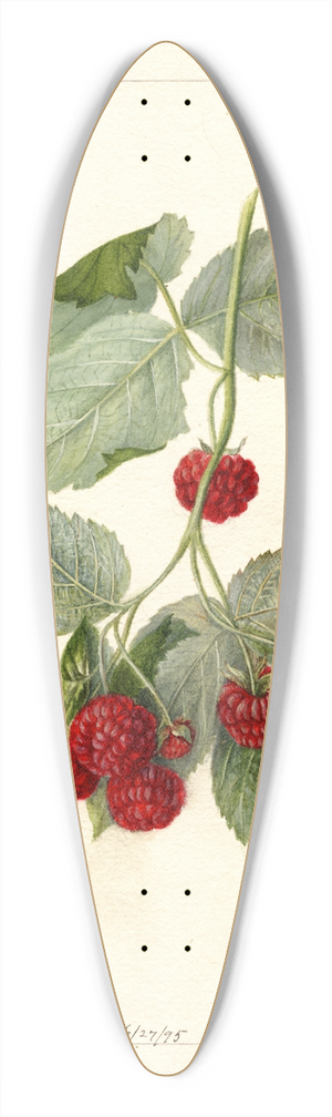 Deborah Griscom Passmore - Rubus: Miller 39.3 inch art pintail longboard deck