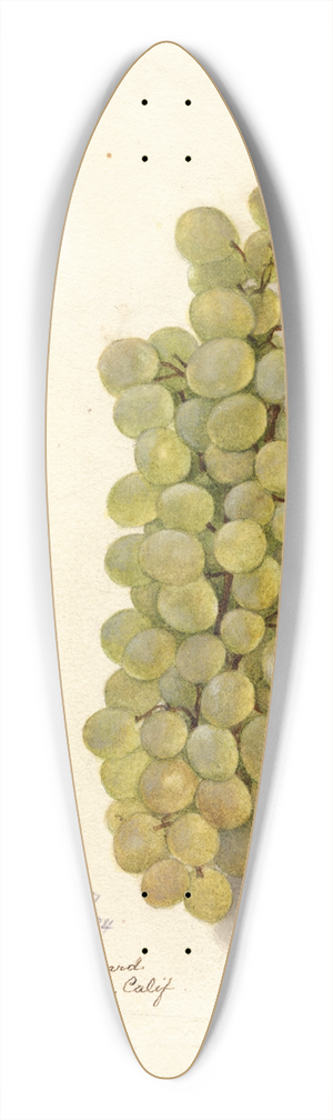 Deborah Griscom Passmore - Vitis 39.3 inch art pintail longboard deck
