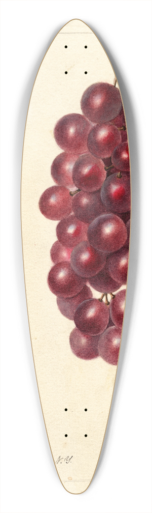 Deborah Griscom Passmore - Vitis: Jacob Moore 39.3 inch art pintail longboard deck