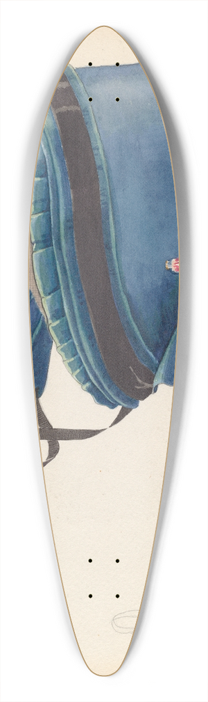 Doris Beer - Bonnet 39.3 inch art pintail longboard deck