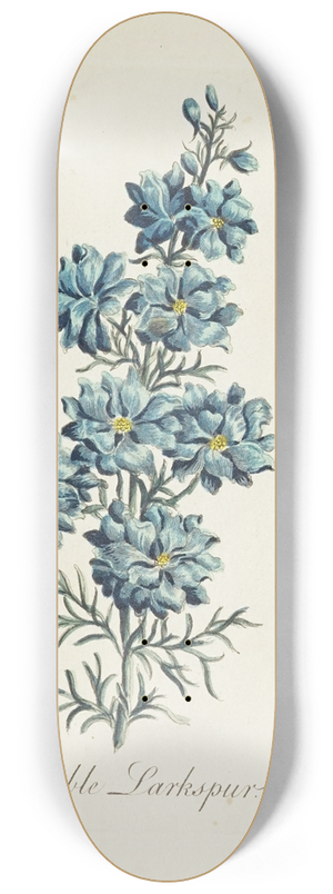 Carington Bowles - Double Larkspur 8.25 inch art skate deck