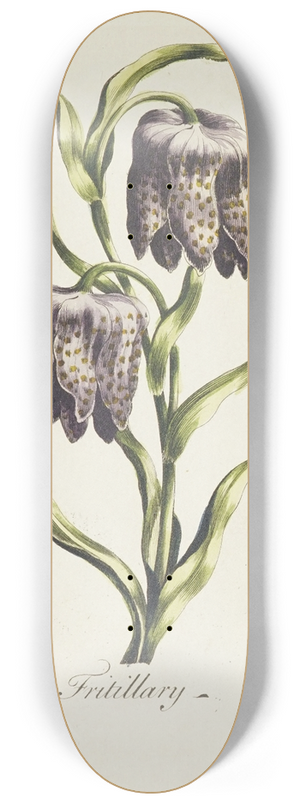 Carington Bowles - Fritillary 8.25 inch art skate deck