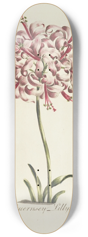 Carington Bowles - Guernsey lilly 8.25 inch art skate deck