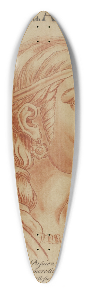 Eduardus Jacobus - Admiration with Astonishment 39.3 inch art pintail longboard deck