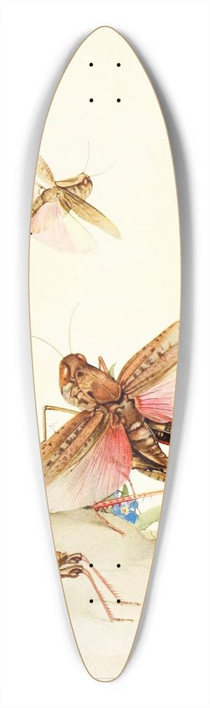 Edward Julius Detmold - Italian Locusts 39.3 inch art pintail longboard deck
