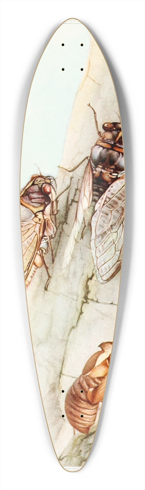Edward Julius Detmold - The Cicada 39.3 inch art pintail longboard deck