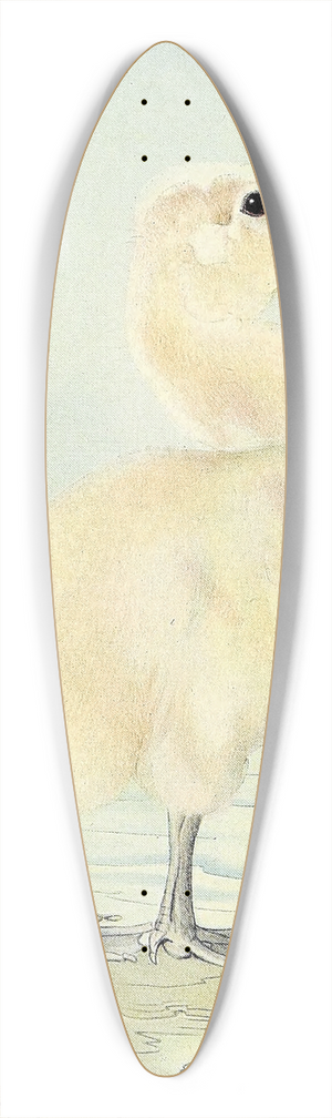 Edward Julius Detmold - The Cygnet 39.3 inch art pintail longboard deck