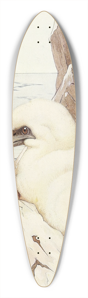 Edward Julius Detmold - The Gannet 39.3 inch art pintail longboard deck