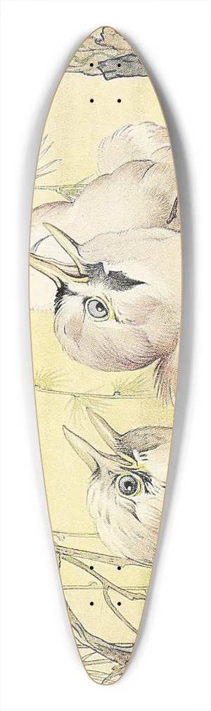 Edward Julius Detmold - The Jay 39.3 inch art pintail longboard deck