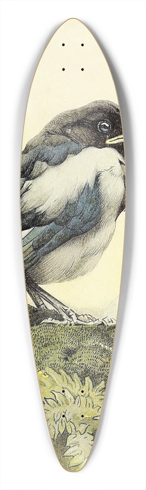 Edward Julius Detmold - The Magpie 39.3 inch art pintail longboard deck