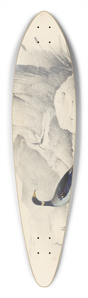 Edward Lear - A merganser 39.3 inch art pintail longboard deck
