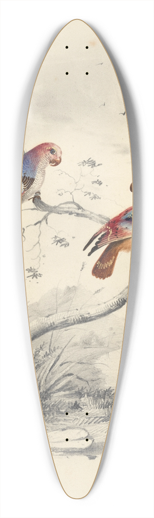 Edward Lear - A pair of parrots 39.3 inch art pintail longboard deck