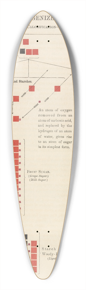 Edward Livingston Youmans - Plate VIII: Ternary or Non-Nitrogenized Principles of Food 39.3 inch art pintail longboard deck