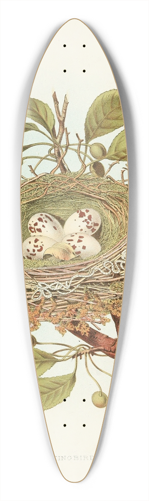 Edwin L. Sheppard - Kingbird 39.3 inch art pintail longboard deck